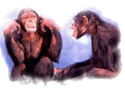 Wer nicht hören will ... Wer nicht hören will ...